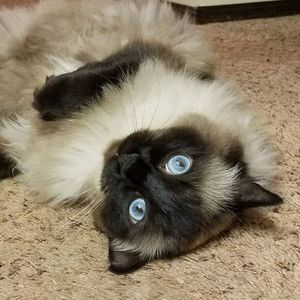 Meet your Posher, Erika